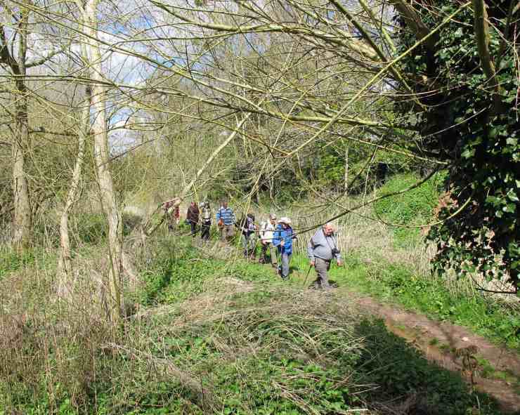 13 bushes n briars Hntg